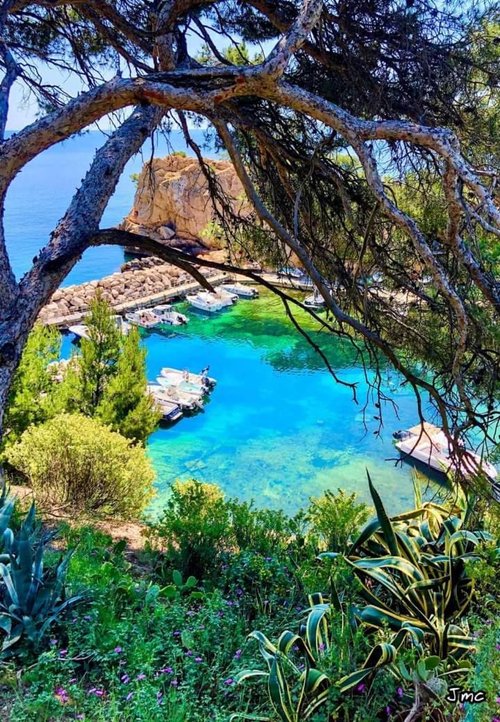 Villa Calanques Ensues-la-Redonne Δωμάτιο φωτογραφία