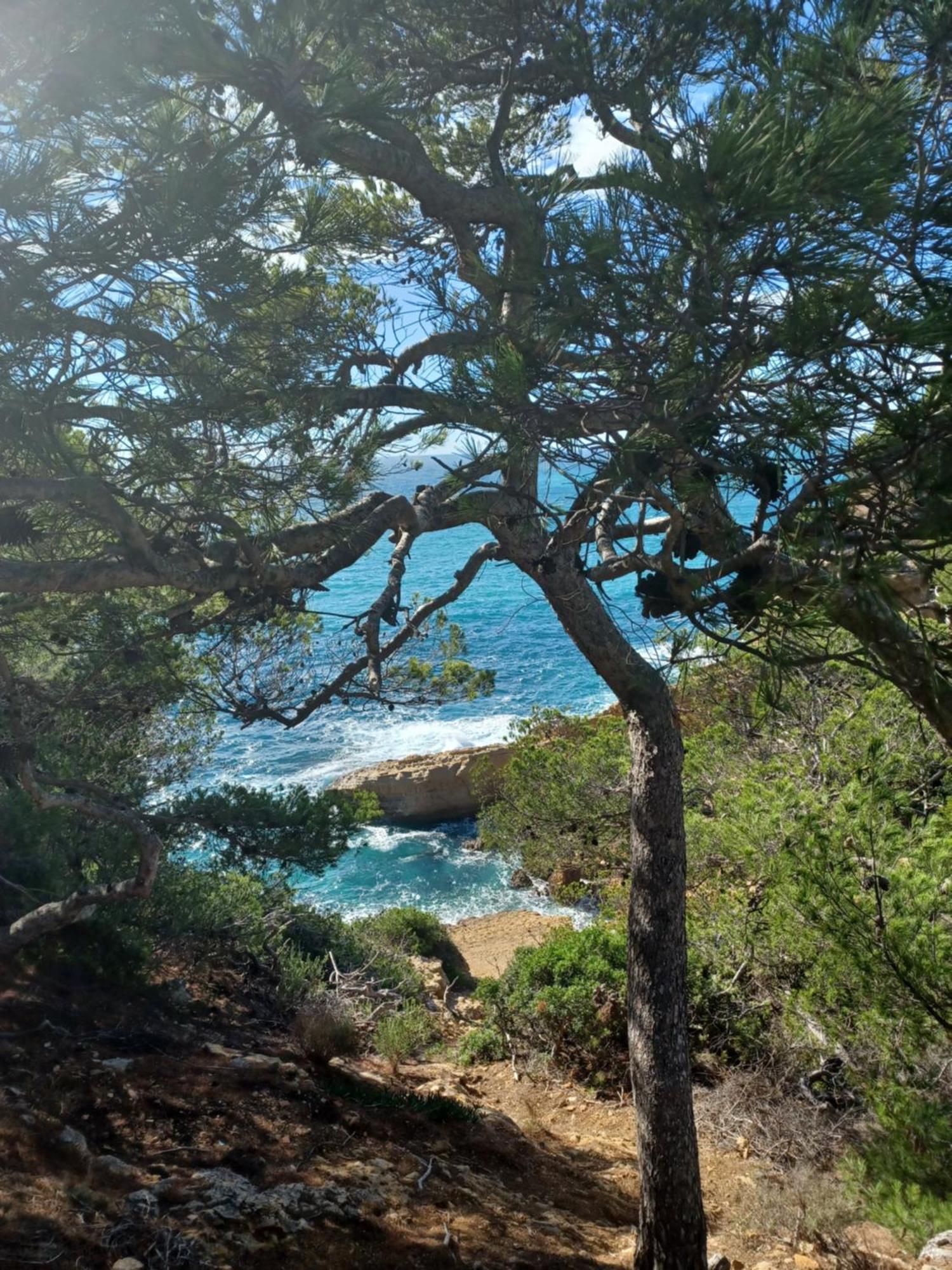 Villa Calanques Ensues-la-Redonne Δωμάτιο φωτογραφία